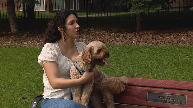 Dog walk through downtown Edmonton park turns into vet visit for suspected opioid poisoning Dog walk through downtown Edmonton park turns into vet visit for suspected opioid poisoning
