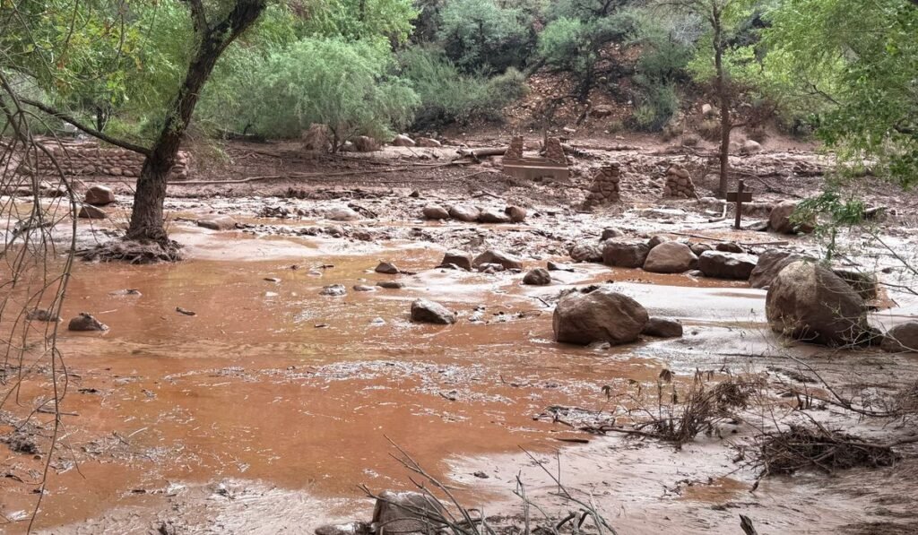 Dozens evacuated from Grand Canyon after flash flood hits creek leading to the Colorado River