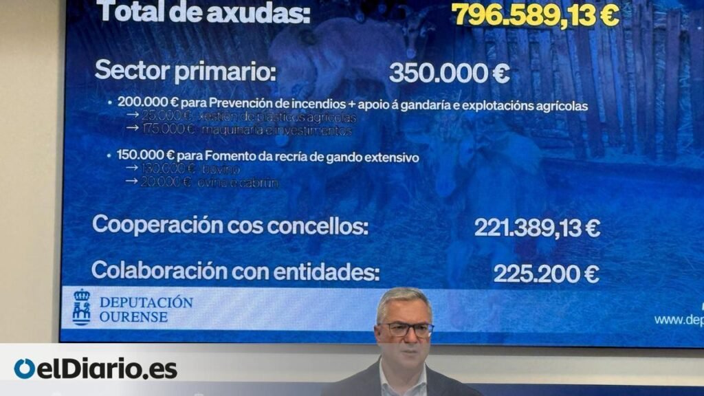 El presidente del PP de Ourense admite que "puede haber cuestiones políticas" en la marcha de todos los concejales de Verín