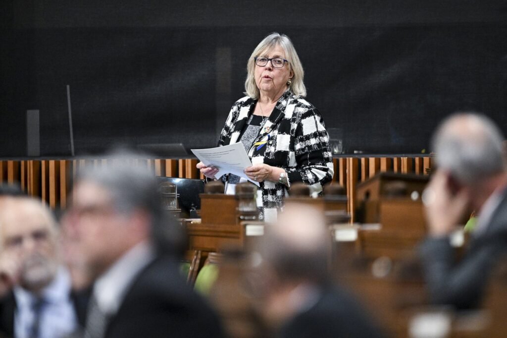 Elizabeth May says Greens can win byelection by campaigning on PM's climate record