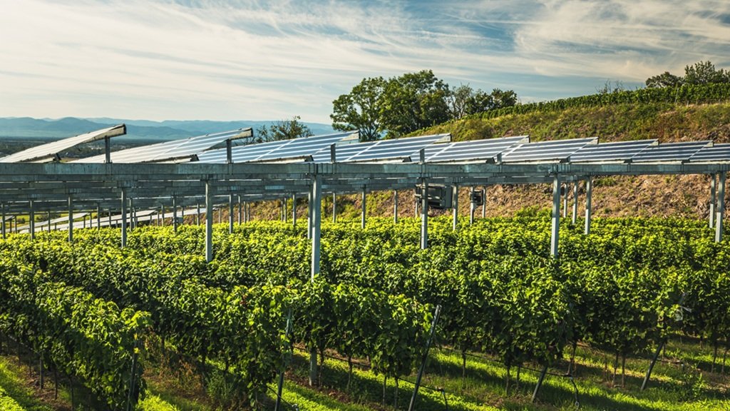 Eurecat participa en el consorcio TECSOL-FRUT, que impulsa la tecnología agrivoltaica Eurecat participa en el consorcio TECSOL-FRUT, que impulsa la tecnología agrivoltaica