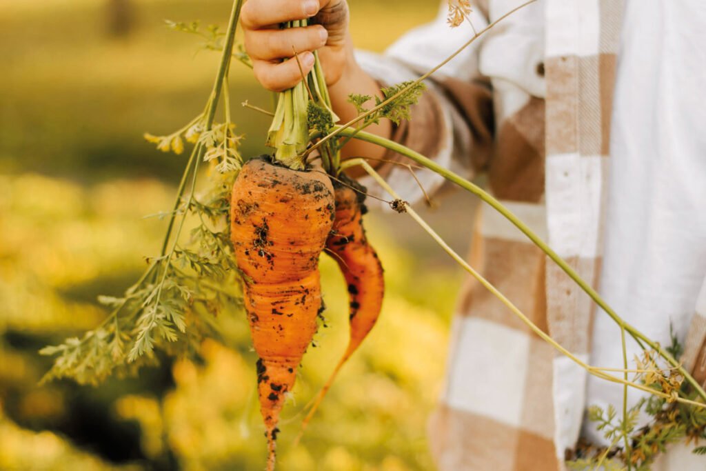 Every Garden Tells a Story Every Garden Tells a Story