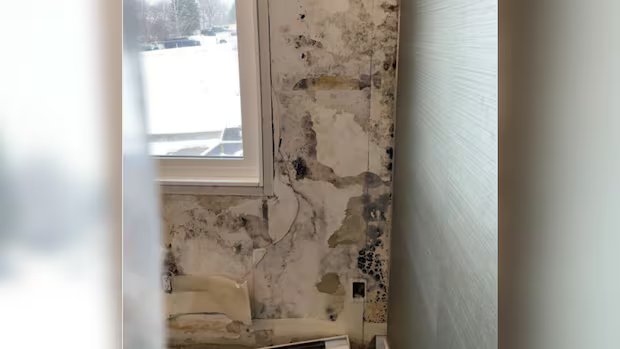 FOI reveals operator of Sandman Hotel chain fined over $620K for asbestos violations FOI reveals operator of Sandman Hotel chain fined over $620K for asbestos violations