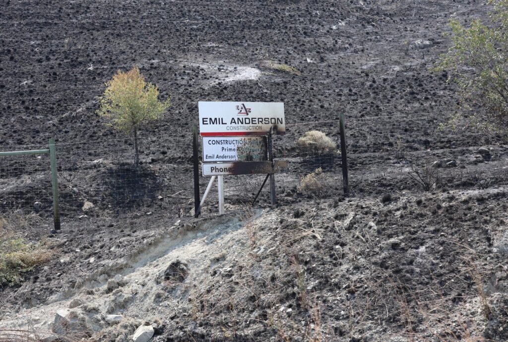 Fallen trees, bears are risks for B.C. wildfire evacuees returning home: officials