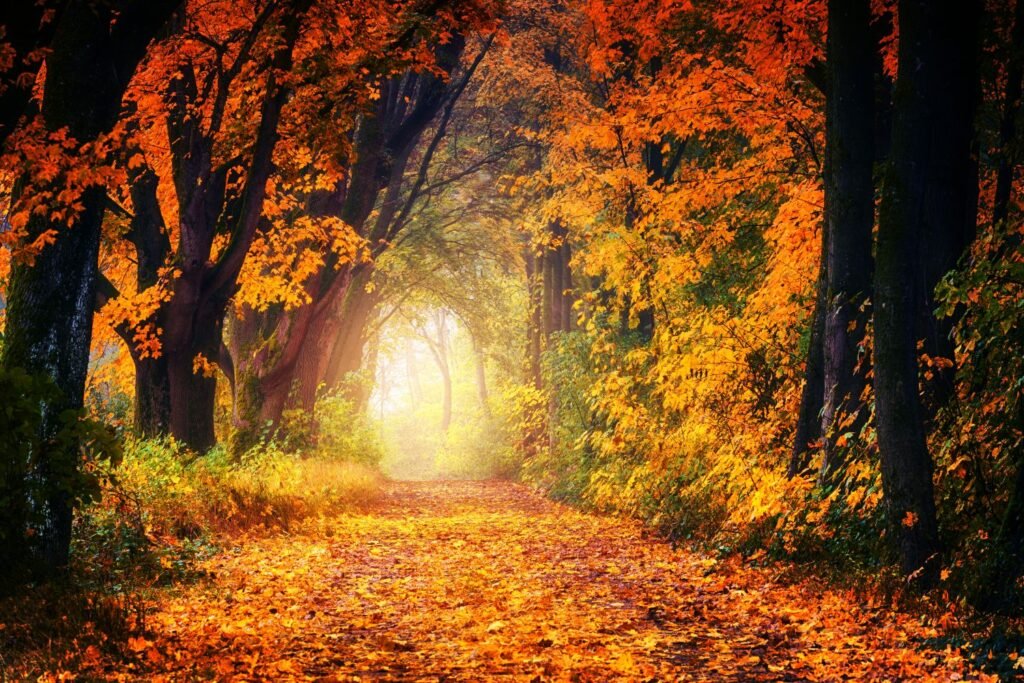 Great Fall Foliage Road Trips of the Northeast Great Fall Foliage Road Trips of the Northeast