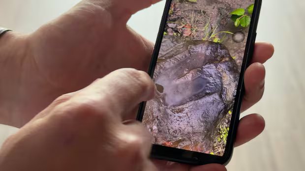 How a road trip detour to Tumbler Ridge led this tourist from Taiwan to a 100-million-year-old dinosaur track How a road trip detour to Tumbler Ridge led this tourist from Taiwan to a 100-million-year-old dinosaur track