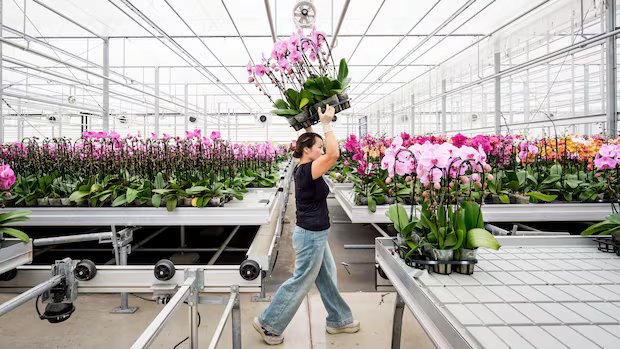 IN PHOTOS | New wave of U.S. tariffs threatens these Canadian companies IN PHOTOS | New wave of U.S. tariffs threatens these Canadian companies