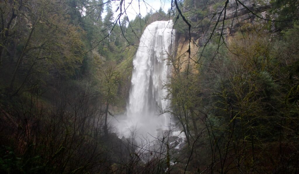 Kentucky man dies after falling 177 feet off Oregon waterfall Kentucky man dies after falling 177 feet off Oregon waterfall