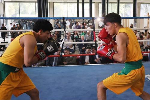 La Jornada: El boxeo aleja a los jóvenes de las adicciones: Camarón Zepeda La Jornada: El boxeo aleja a los jóvenes de las adicciones: Camarón Zepeda