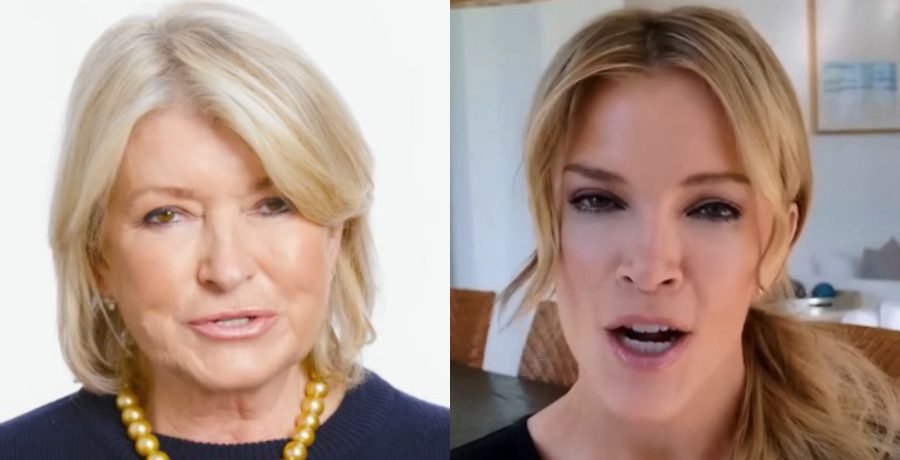 Martha Stewart Finds Unlikely Ally In Megyn Kelly Martha Stewart Finds Unlikely Ally In Megyn Kelly