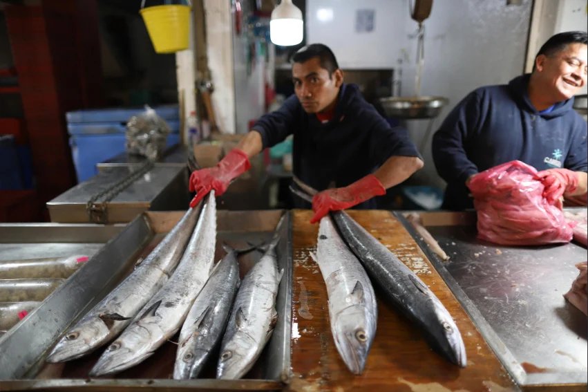 Mexico job growth hits 2026 high in July as informal sector surges Mexico job growth hits 2026 high in July as informal sector surges