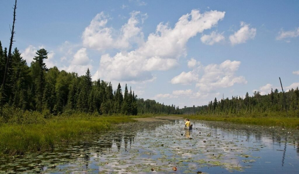 Minnesota governor signs order to slow down any mining efforts near Boundary Waters wilderness Minnesota governor signs order to slow down any mining efforts near Boundary Waters wilderness