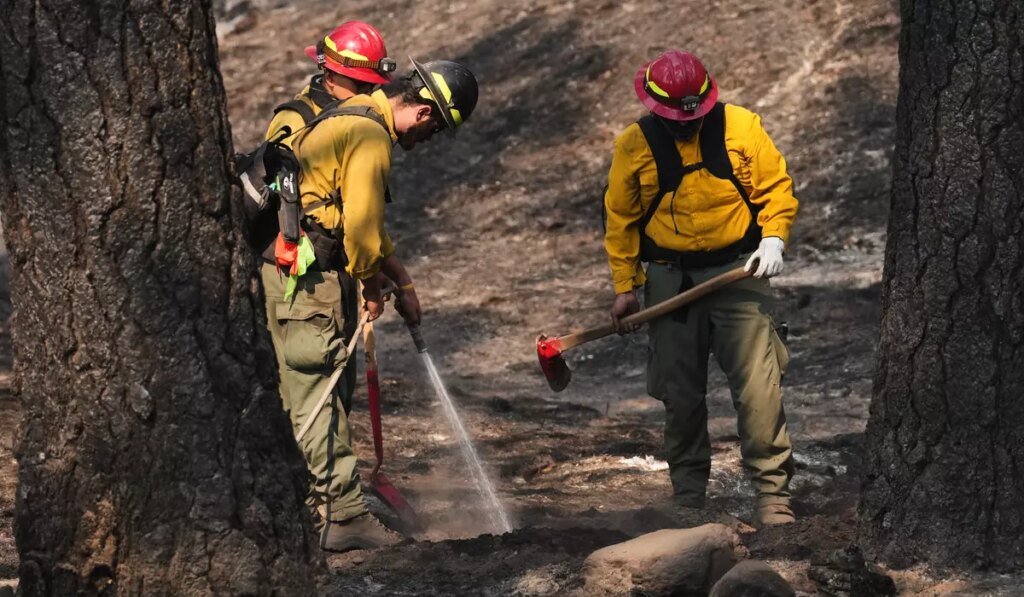 Officials warn wildland firefighters about the risks of using a supplement for smoke exposure Officials warn wildland firefighters about the risks of using a supplement for smoke exposure