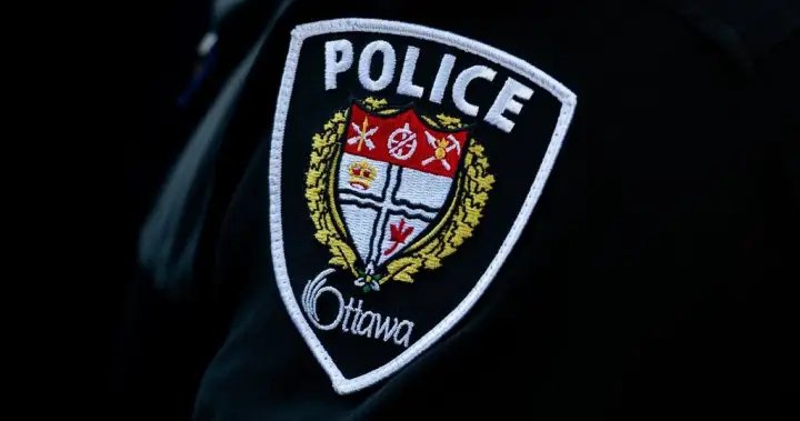 Ottawa police investigate after more than 100 unknown pills found scattered in parks – Ottawa Ottawa police investigate after more than 100 unknown pills found scattered in parks - Ottawa