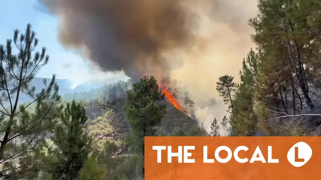 Spain wildfires burn 264,000 hectares, 80,000 less than last year Spain wildfires burn 264,000 hectares, 80,000 less than last year