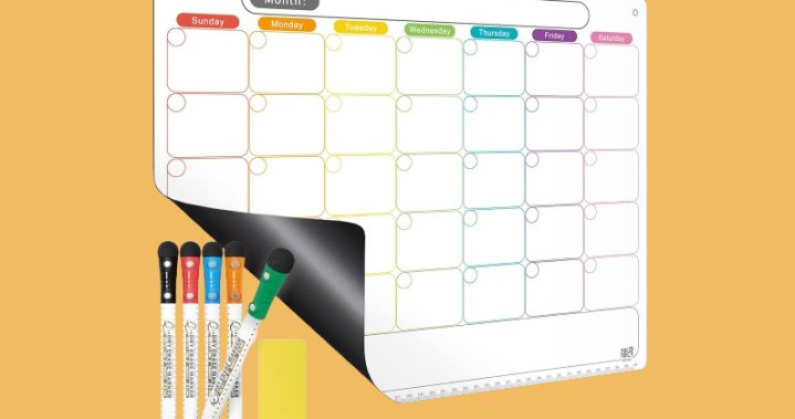 The Curator: 5 back-to-school organizing problems you can solve for under $30 – National The Curator: 5 back-to-school organizing problems you can solve for under $30 - National