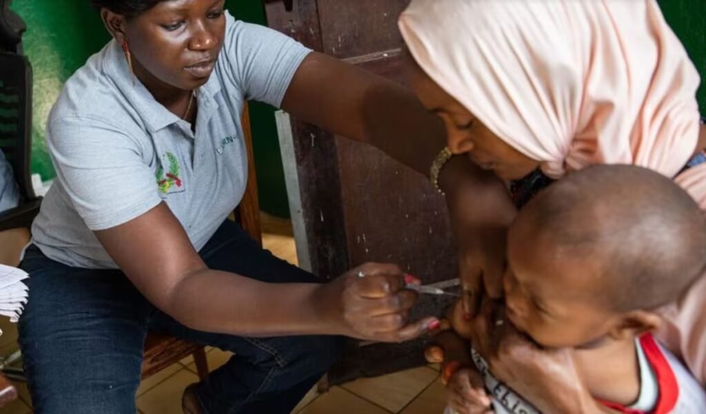 The desert’s ‘resurrection plant’ paving the way to fridge-free vaccines | Health