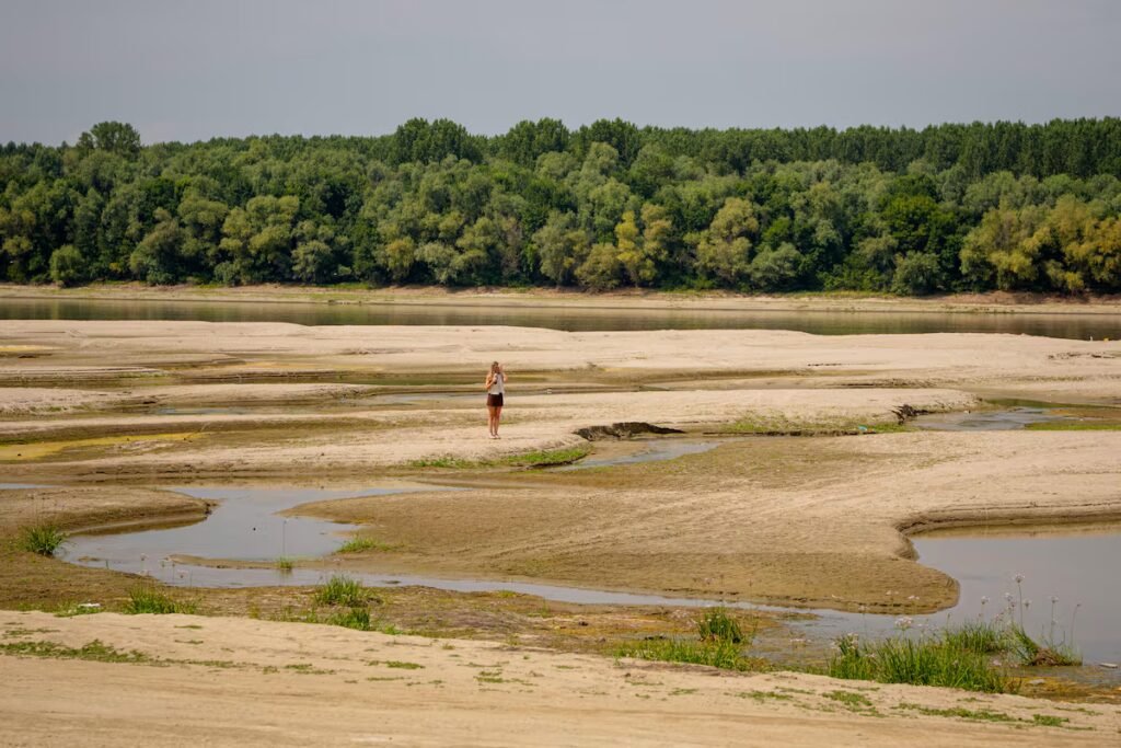 The great drought devours the heart of Europe: Record-low harvests, historic restrictions and a stalled economy | Climate The great drought devours the heart of Europe: Record-low harvests, historic restrictions and a stalled economy | Climate