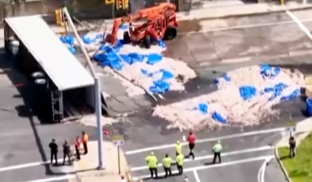 Truckload of squid spills into the street in Rhode Island, creating a smelly mess in the summer heat Truckload of squid spills into the street in Rhode Island, creating a smelly mess in the summer heat