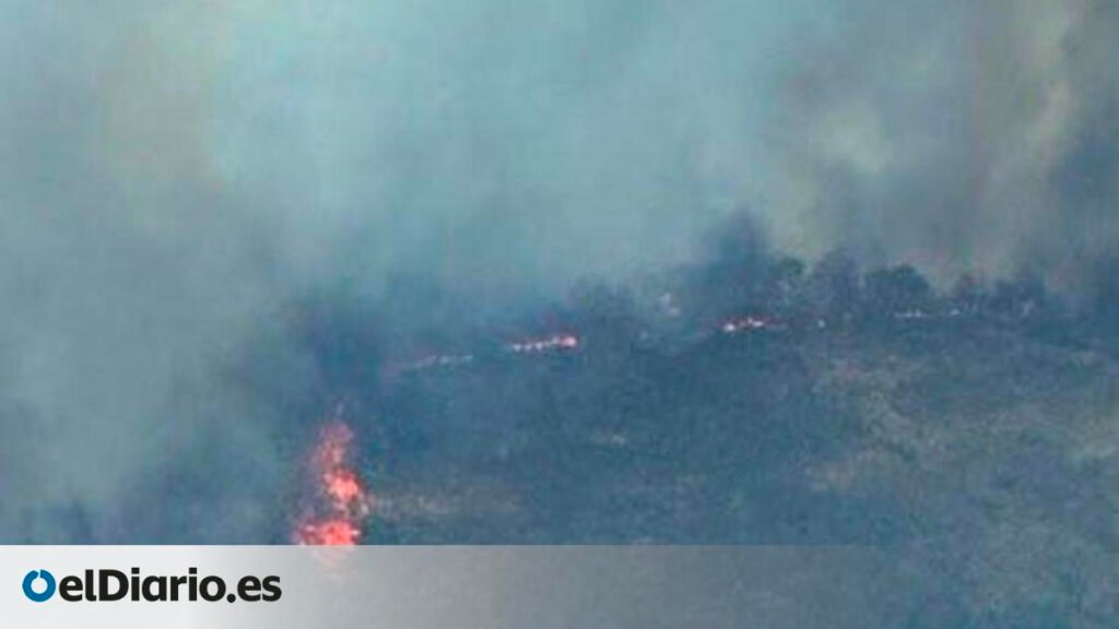 Un camión ardiendo en la A-66 provoca un incendio forestal y obliga a desalojar Grimaldo y Casas de Millán, en Cáceres Un camión ardiendo en la A-66 provoca un incendio forestal y obliga a desalojar Grimaldo y Casas de Millán, en Cáceres