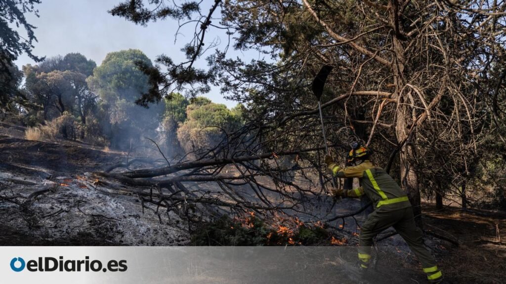 Un nuevo incendio en la Sierra Oeste de Madrid obliga a confinar a los vecinos de Aldea del Fresno y Villamantilla Un nuevo incendio en la Sierra Oeste de Madrid obliga a confinar a los vecinos de Aldea del Fresno y Villamantilla