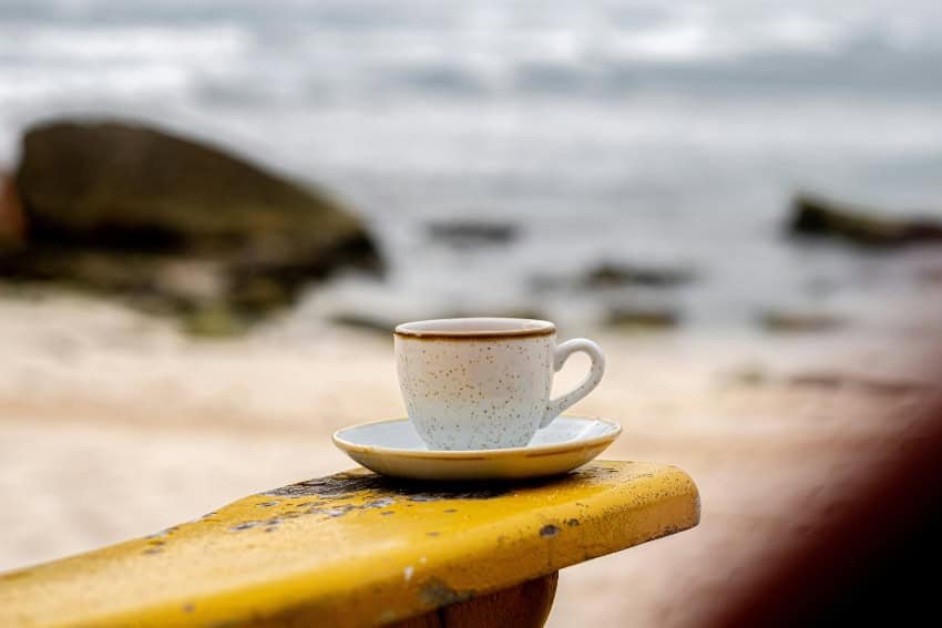 Veracruz’s coffee heritage is alive — and brewing something new Veracruz’s coffee heritage is alive — and brewing something new