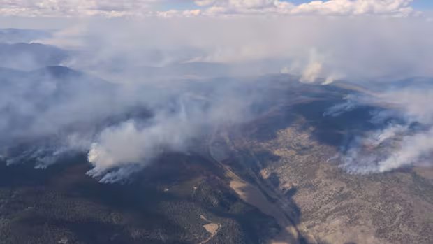 Weather conditions expected to spark new wildfires, accelerate fire growth, B.C. Wildfire Service says Weather conditions expected to spark new wildfires, accelerate fire growth, B.C. Wildfire Service says