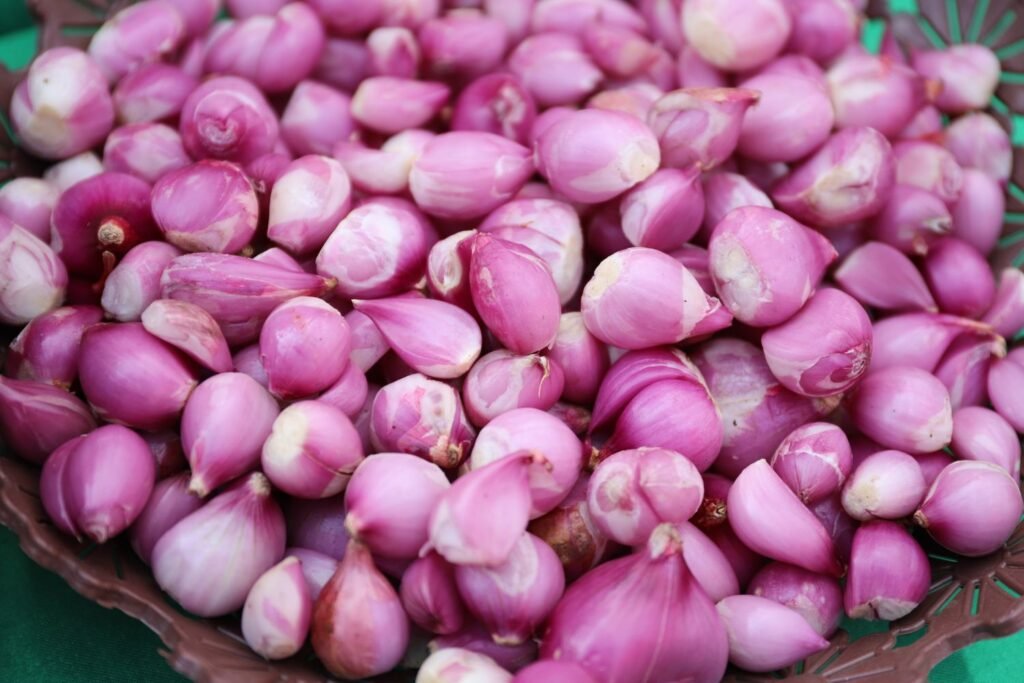 What Can I Use Instead of Shallots? 9 Substitutes for Every Recipe What Can I Use Instead of Shallots? 9 Substitutes for Every Recipe