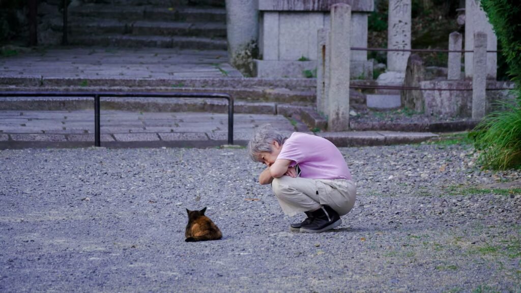 ‘Nekonomics,’ or the great Japanese cat economy | Economy and Business
