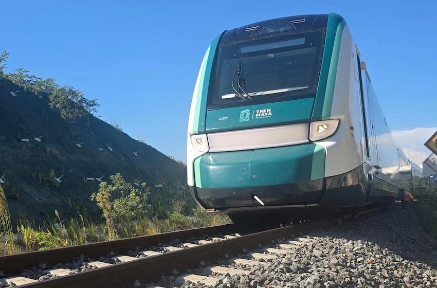 The Maya Train reports a ‘track-related incident’ The Maya Train reports a 'track-related incident'