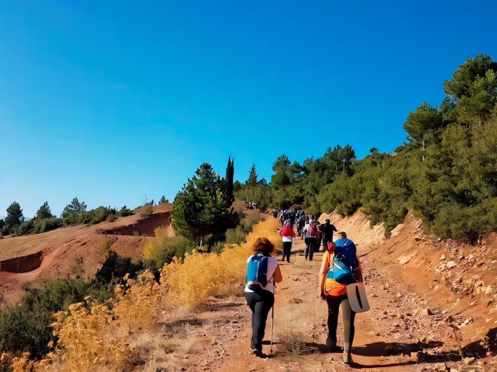 Türkiye taking the lead in providing sustainable experiences to visitors Türkiye taking the lead in providing sustainable experiences to visitors