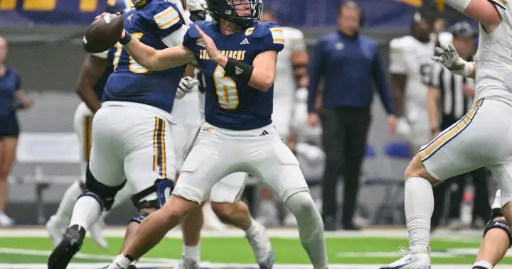 Winnipeg Blue Bombers acquire new QB in another trade with Ottawa RedBlacks – Winnipeg Winnipeg Blue Bombers acquire new QB in another trade with Ottawa RedBlacks - Winnipeg